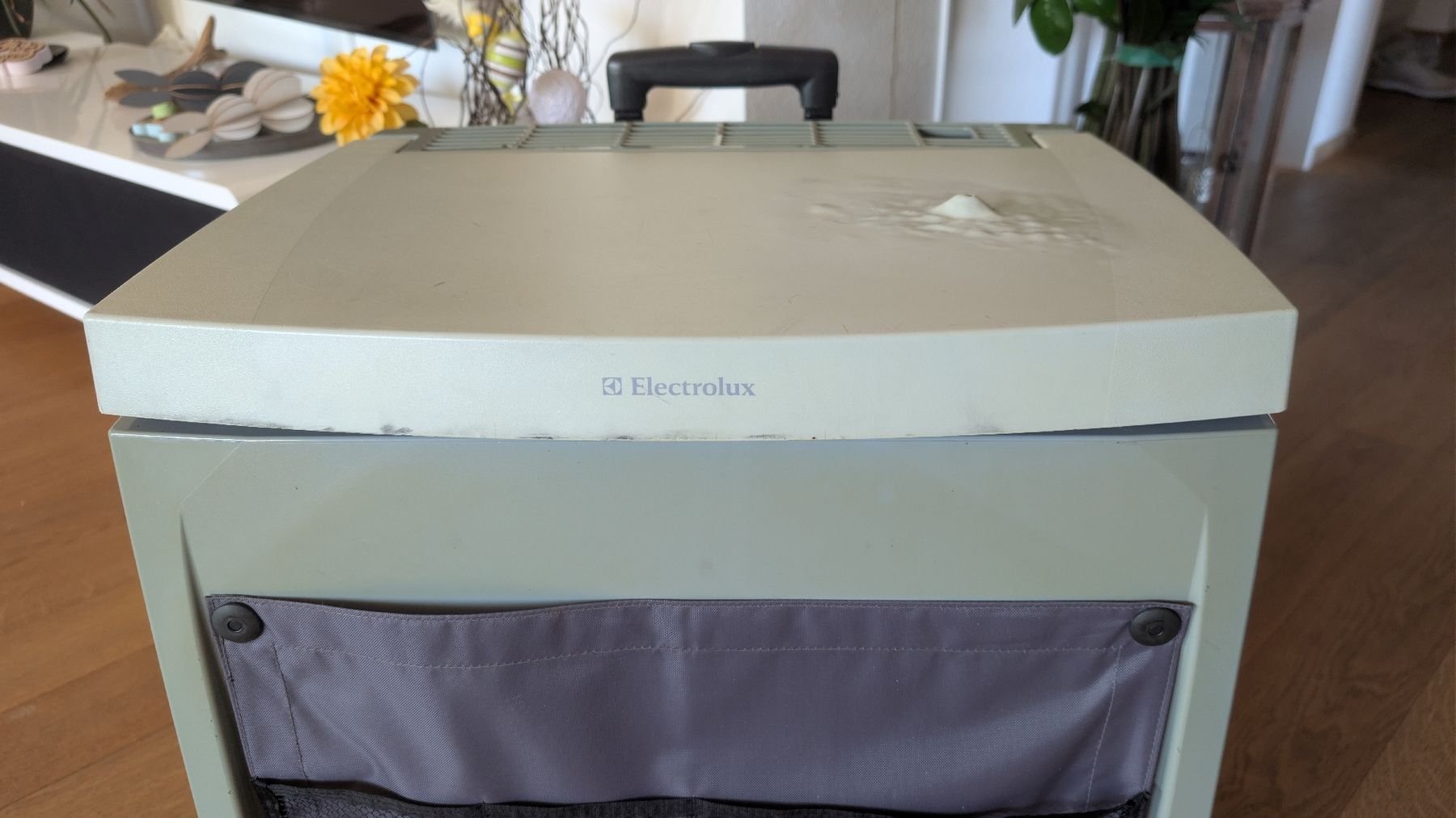 Electrolux Frigoriferi & Refrigeratori: Electrolux Kühlbox RC4000EGP Absorption – Usato da Dietlikon venduto da wellseller 2