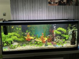 Aquarium