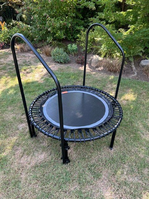 Bellicon Trampolini: Professionelles Bellicon Trampolin 112cm mit 2 Haltegriffen – Nuovo (secondo la descrizione) da Steinmaur venduto da Hardumbel44
