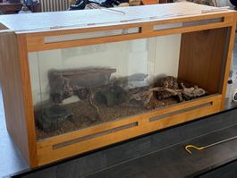 Großzügiges Holzterrarium (140 x 70 x 50 cm) Komplettset