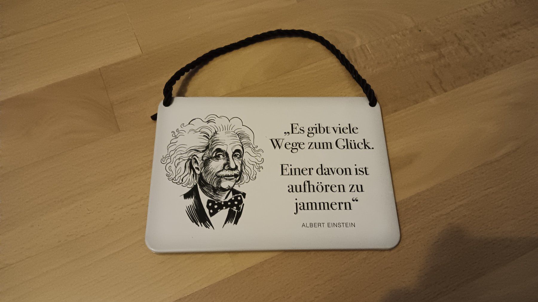 Ecriteaux: Kult-Hänger Blechschild Einstein Spruch – D'occasion à Dietikon par Rabia