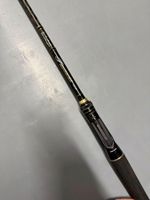 Tailwalk Fullrange Baitcasterrute 1.95m