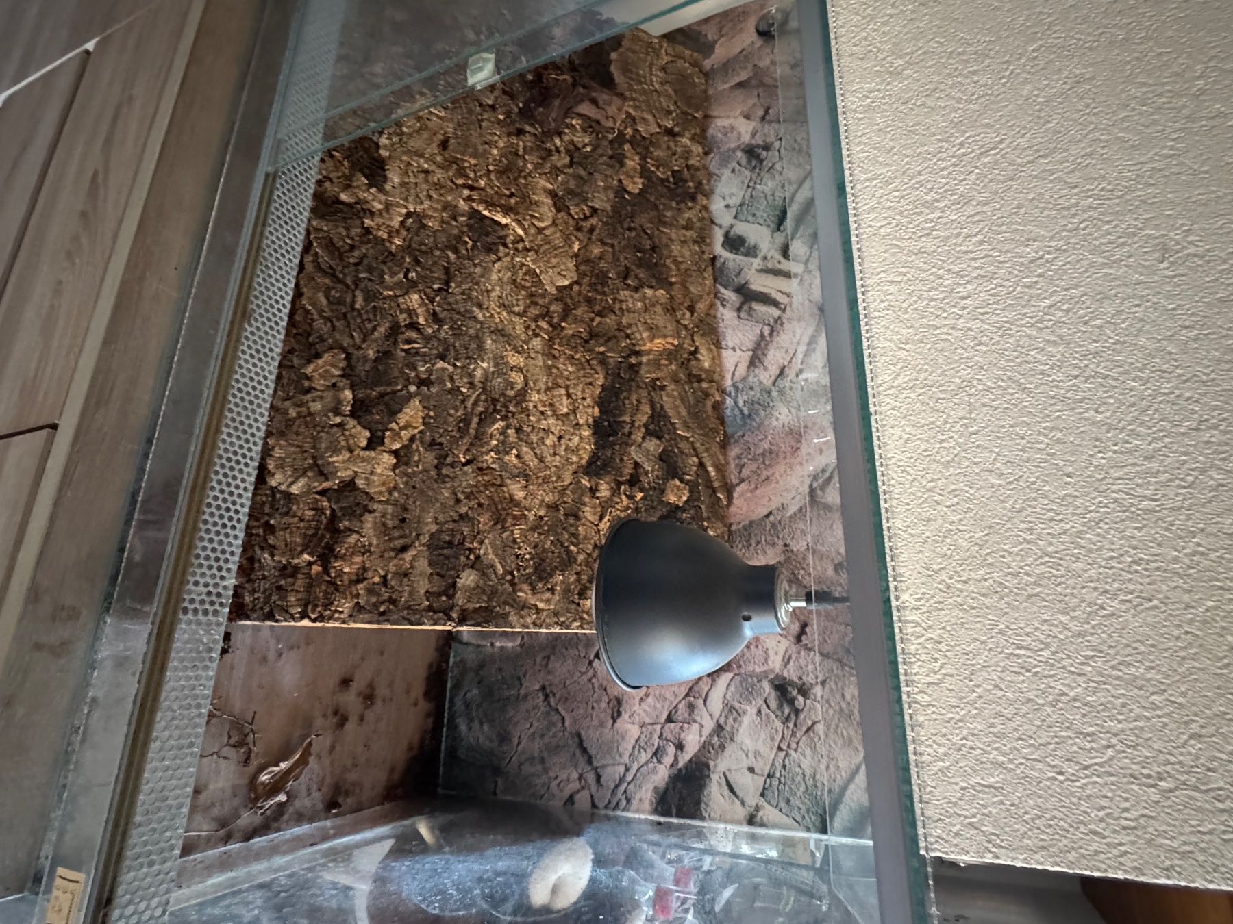 Terrarium: Terrarium – Gebraucht aus Saland von Swiss_Lady95 2