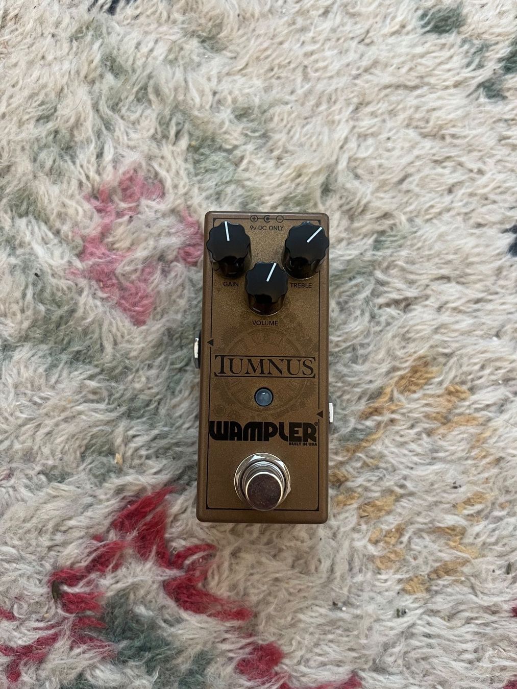 Wampler Musikinstrumente: Wampler Tumnus – Gebraucht aus Locarno von sergeport