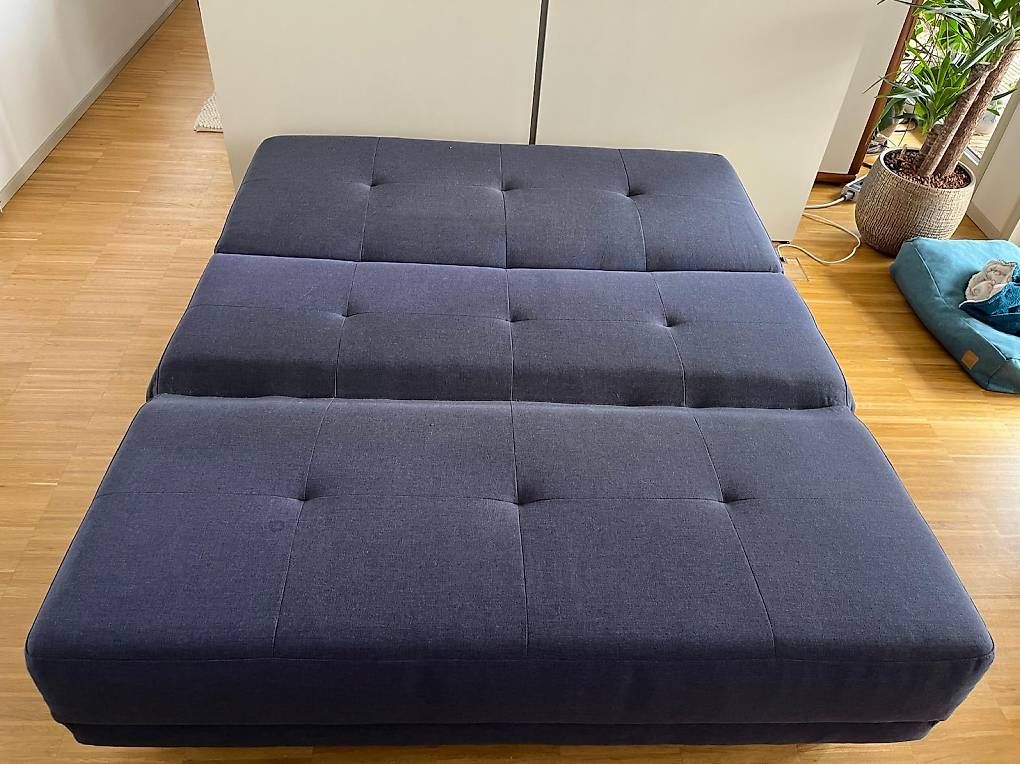 Pfister Divani: Pfister Schlafsofa / Bettsofa – Usato da Horgen venduto da FidelityAudio 2