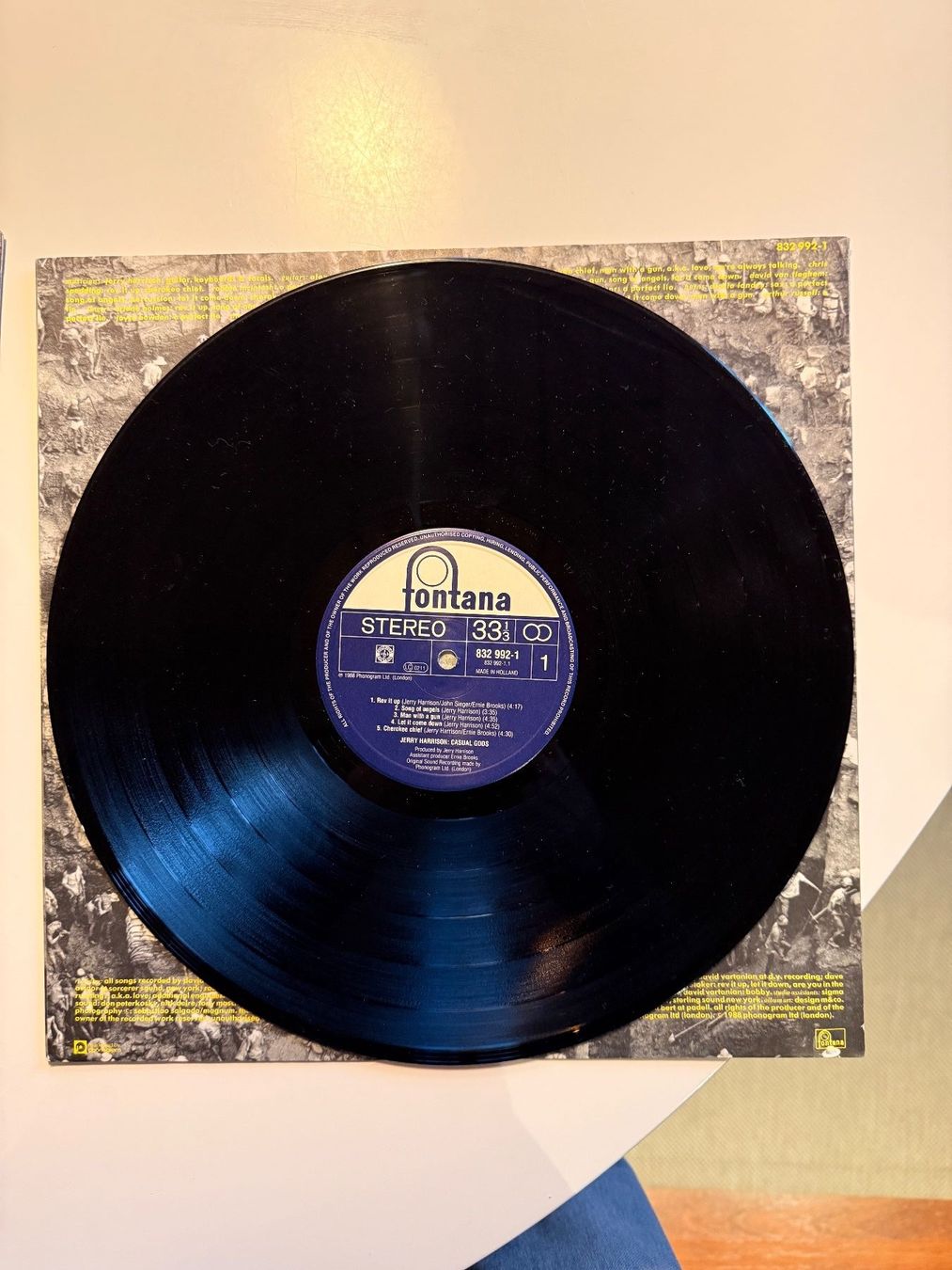 Dischi in vinile: Jerry Harrison - Casual Gods - Original – Usato da Unterägeri venduto da hero87333 1