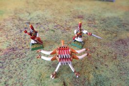 Warhammer - Tow - Hochelfen - Speerschleuder top bemalt