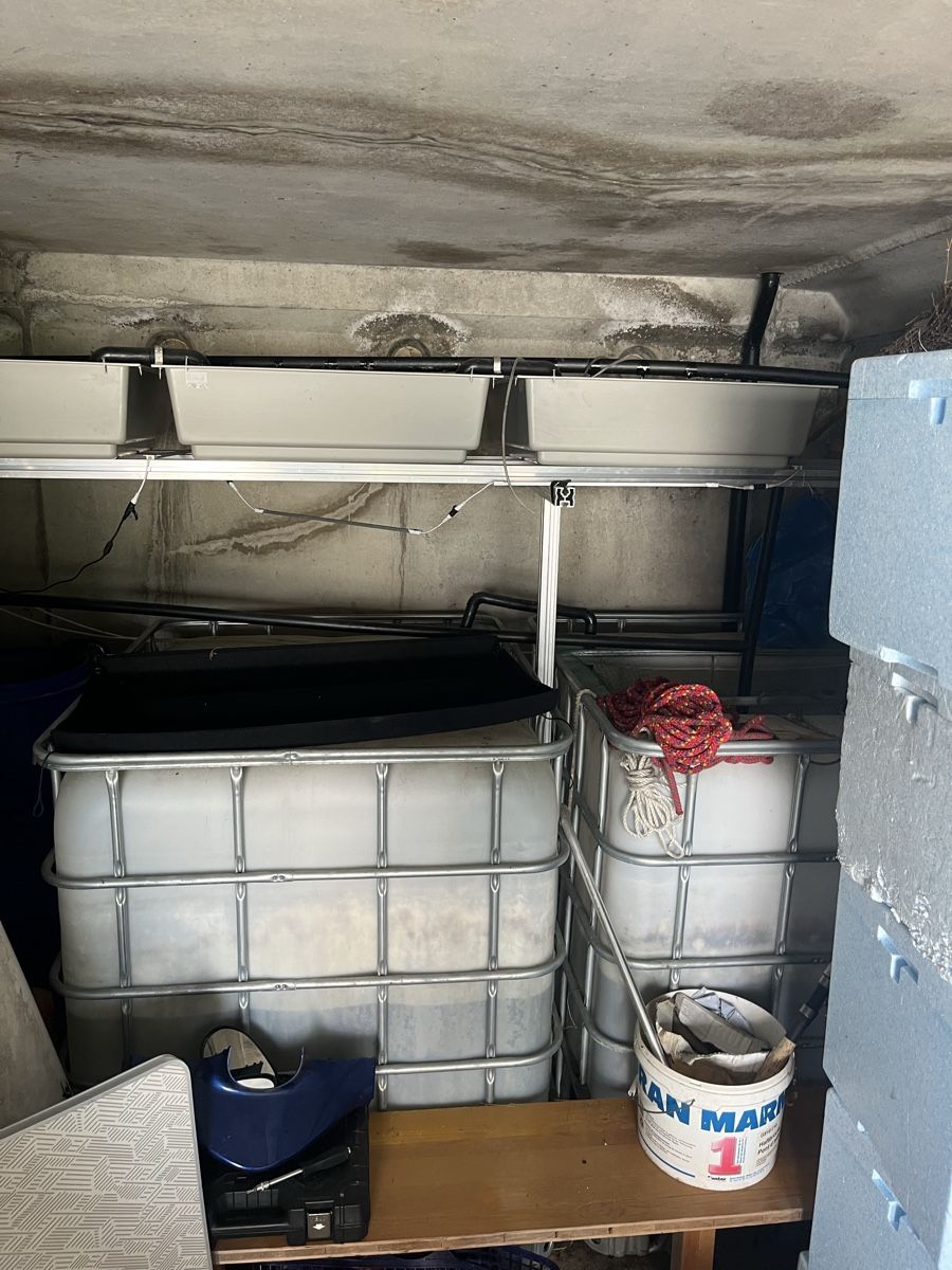 Abbeveratoi e trogoli: IBC Tank  – Usato da Erlenbach venduto da Azegobelei