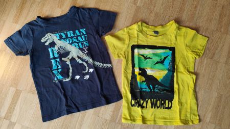 2 coole Dinosaurier T-Shirt  (Gr. 104 / 3-4 Y)