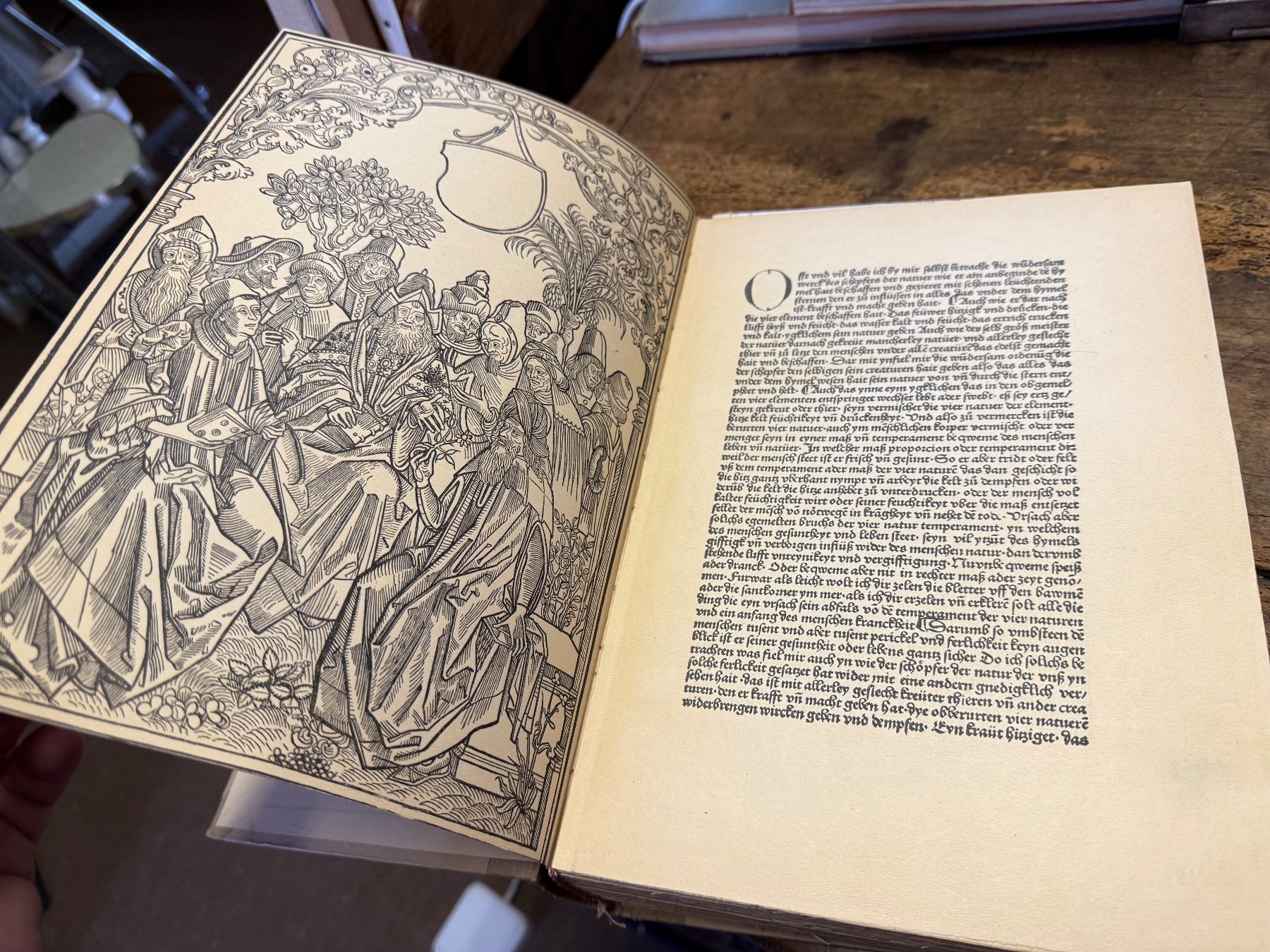 Libri: HORTUS SANITATIS Peter Schöffer Reprint – Usato da Bern venduto da Jwpm66 1