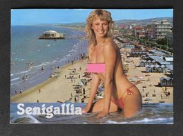 Erotik AK Senigallia