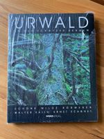 Urwald in den Schwyzer Bergen