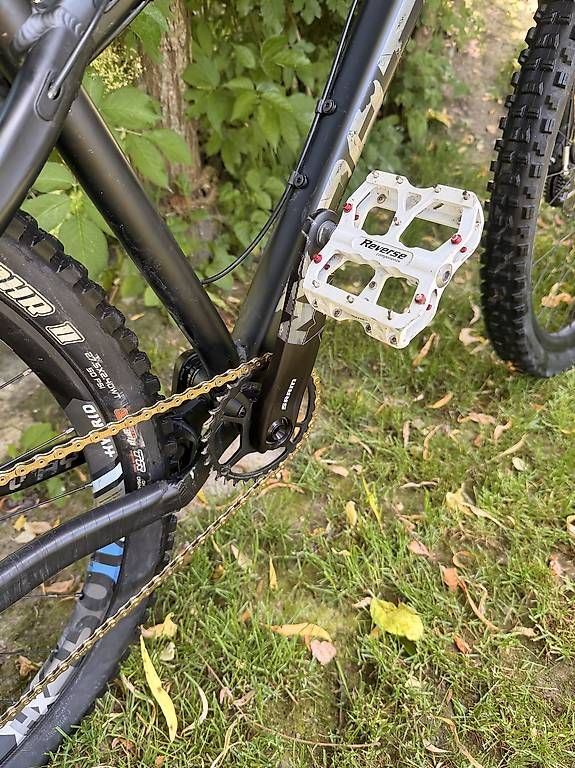 Velos: Dartmoor Primal L Hardcore Hardtail | DT Swiss | Mullet – Gebraucht aus Root von Kaiteur 3