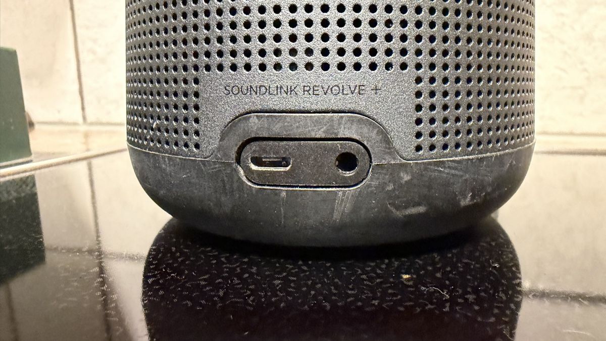 Bose Casse acustiche: Bose Revolve plus +, Bluetooth Lautsprecher  – Usato da Thayngen venduto da Budro 2