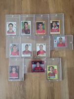 Ronaldo PANINI