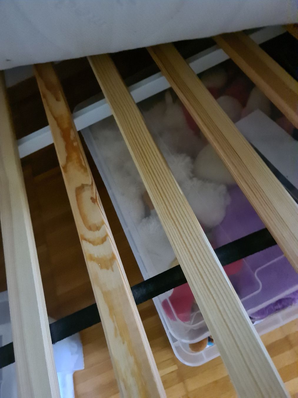 Letti: Himmelbett Bett 120x200 – Usato da Emmenbrücke venduto da gatasalvache 7