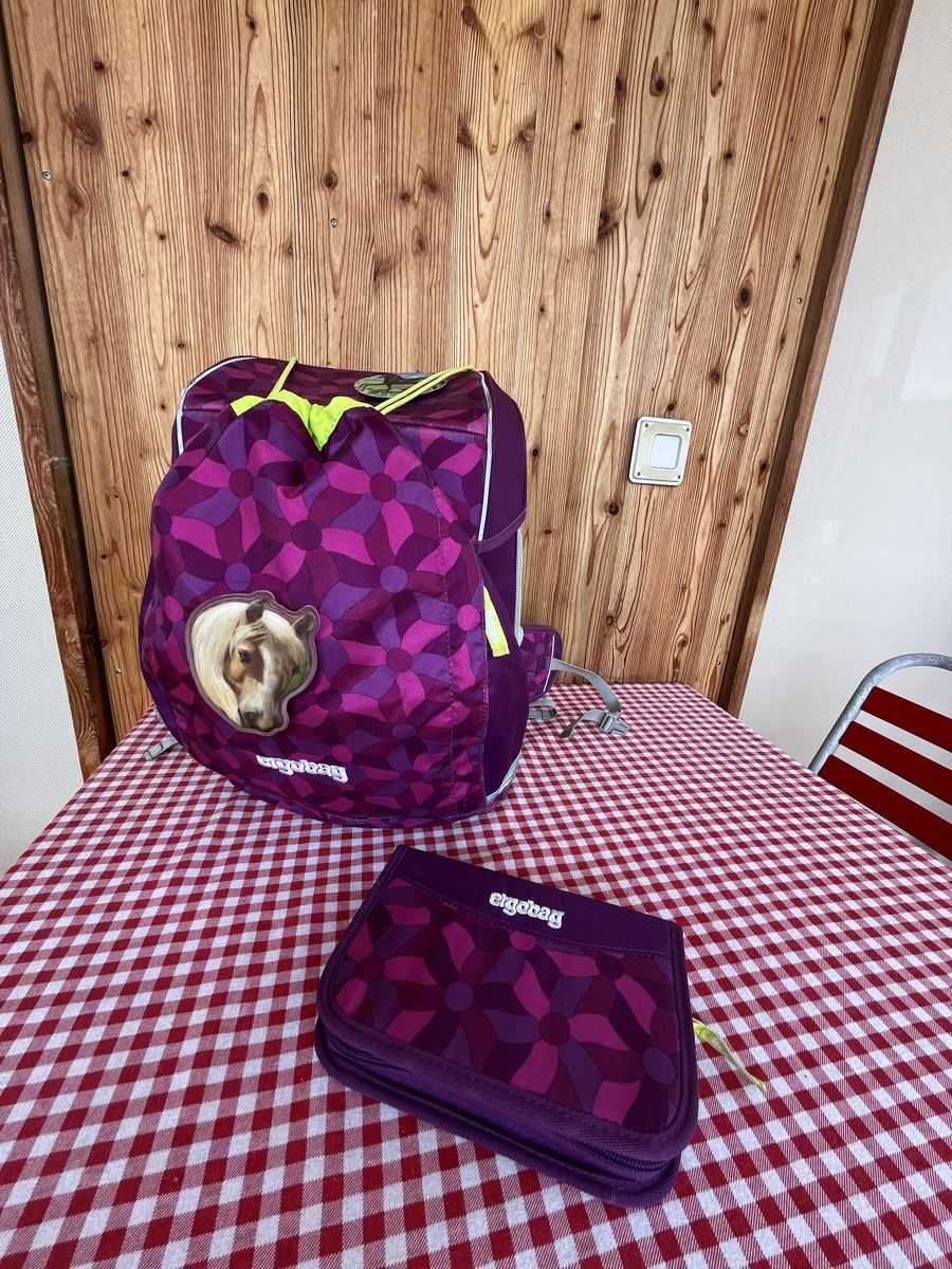 Ergobag Kindertaschen: Ergobag cubo light / Thek – Gebraucht aus Zürich von yeti044 6