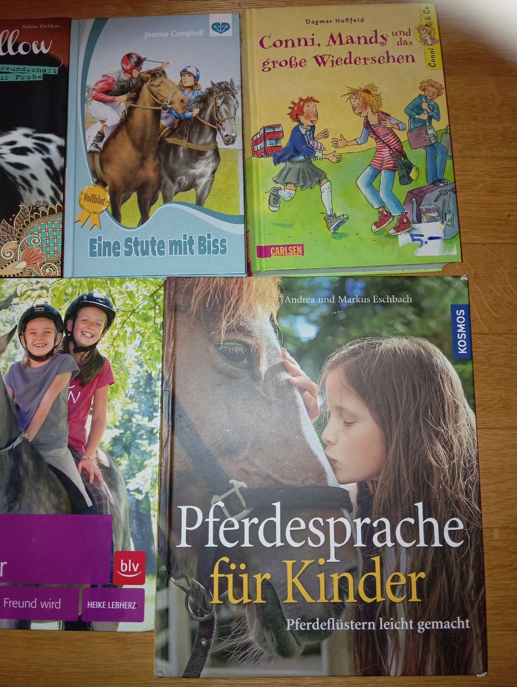 Libri: 8 Pferdebücher für Kinder – Usato da Montlingen venduto da Beanz 2