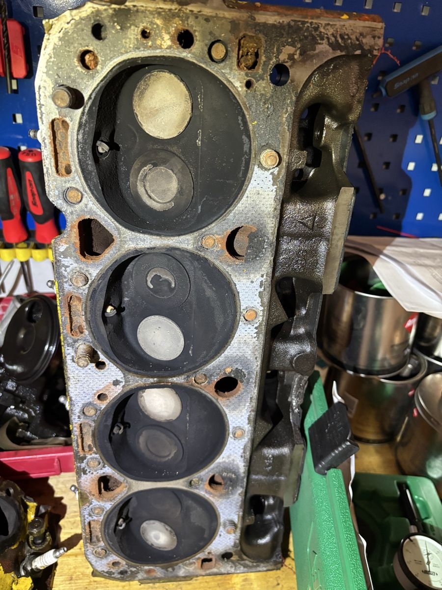 GM Motori: GM 3834810 V8 Motor – Usato da Oberwil BL venduto da nic_pz2y 2