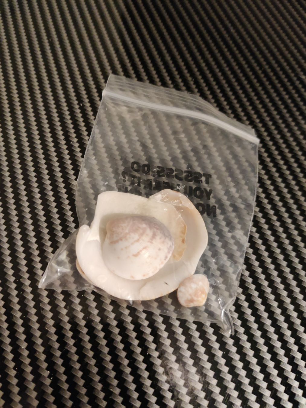 Toutes les décorations: Muscheln aus Mallorca – D'occasion à Ettingen par flouleFM 1