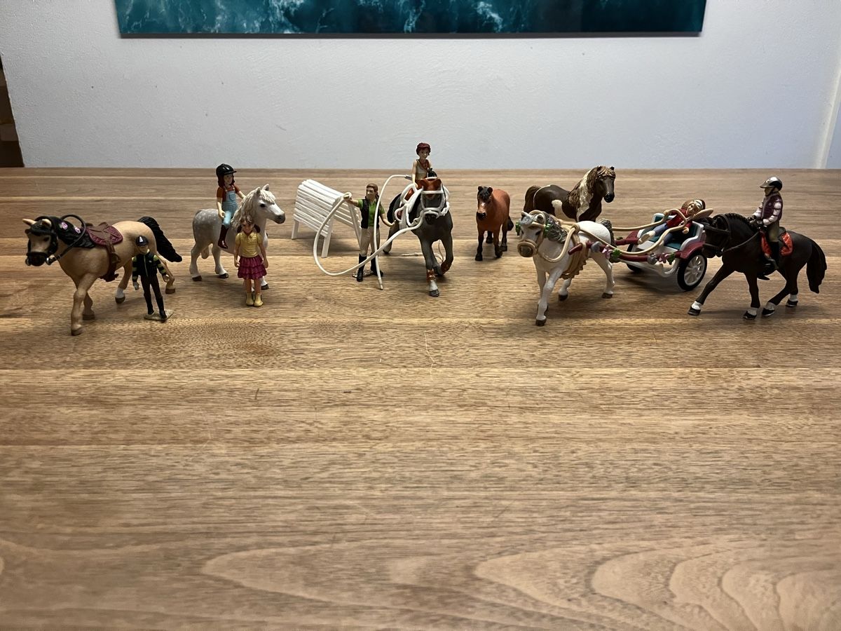 Schleich Giocattoli: Ponyset zu verkaufen – Usato da Weesen venduto da D0101D