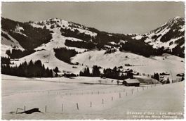 Château D'Oex Les Moulins- Télèski /Skilift Monts Chevreuils