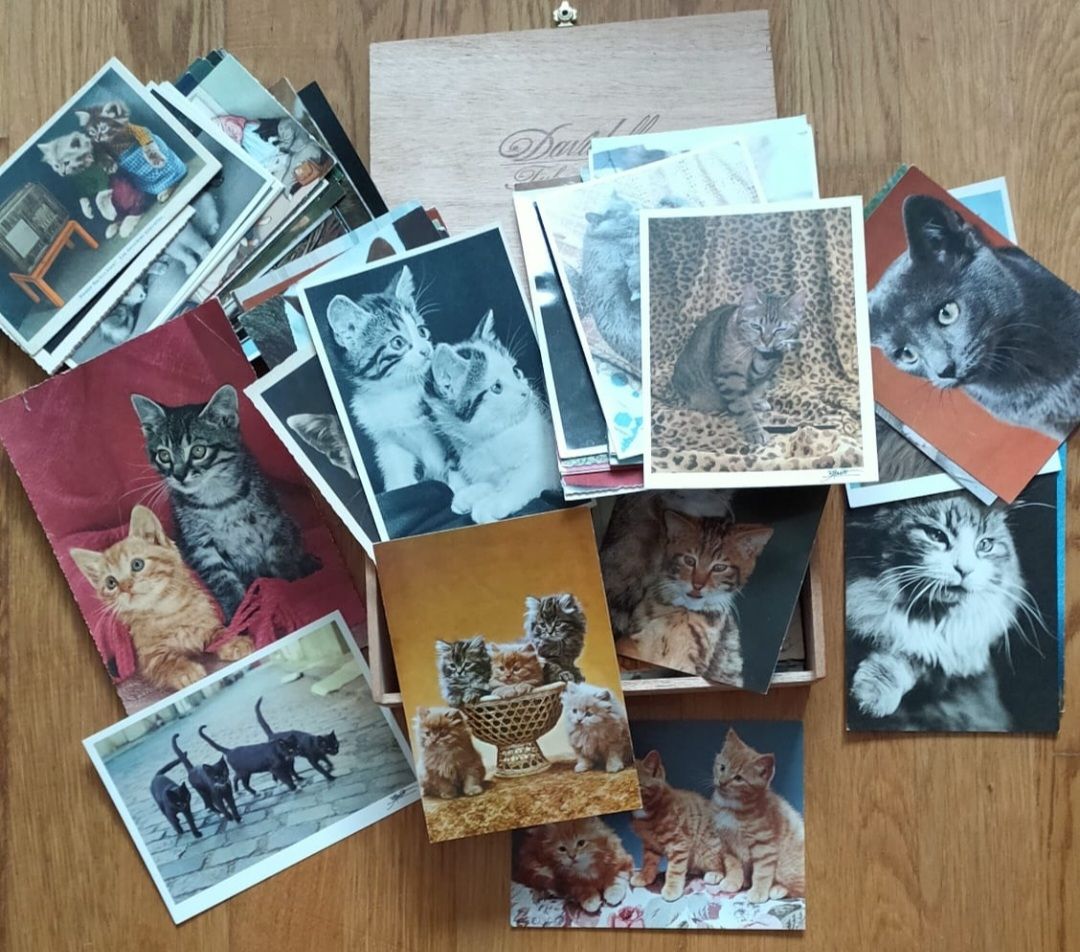 Cartoline postali: Vintage Katzen Karten – Usato da Luzern venduto da Luzern_Energy 1