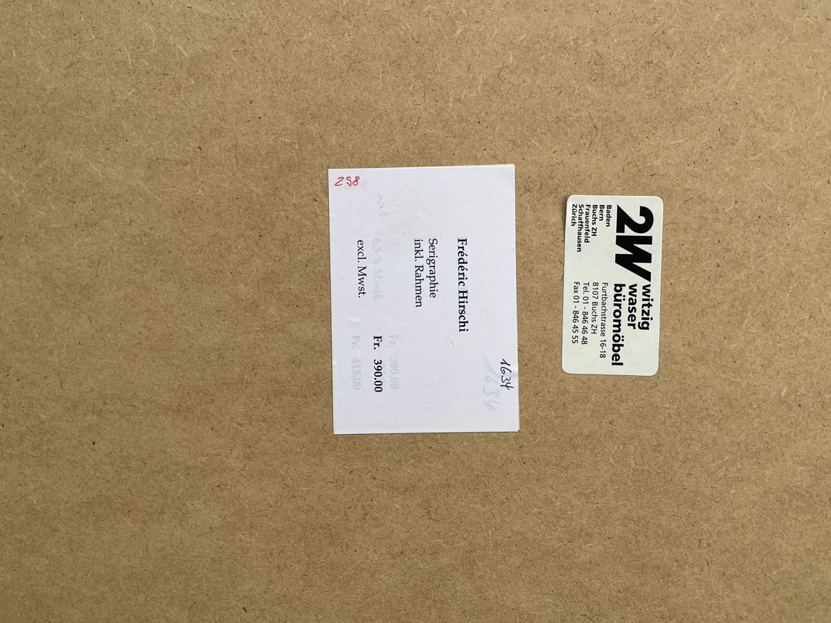 Foto & Immagini: 2 Serigraphien, gerahmt F. Hirschi – Usato da Zürich venduto da MARKTMIX 6