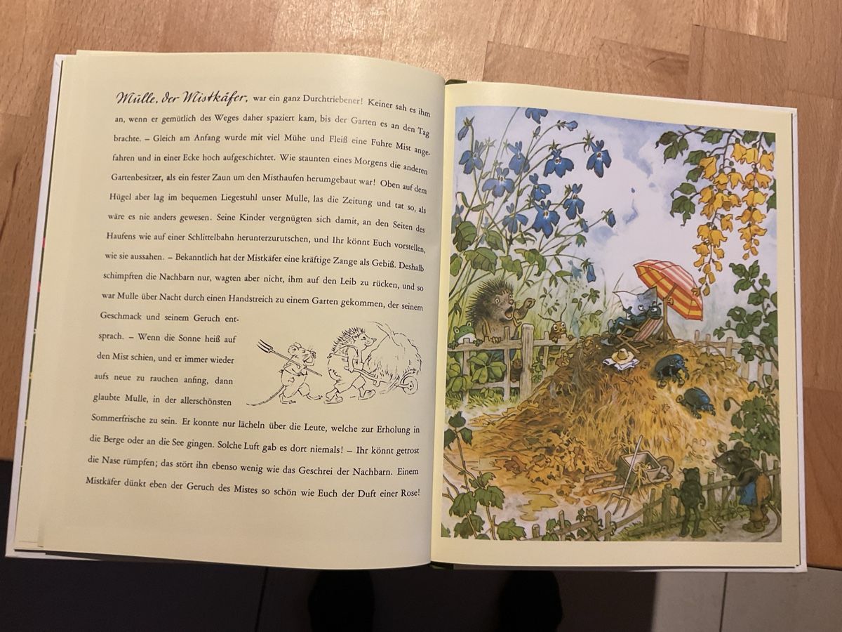 Libri: Gartengemeinschaft Malepünke, 4+ – Nuovo (secondo la descrizione) da Wil ZH venduto da RiccardaWegmann 4