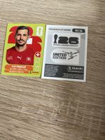 Panini SUI11