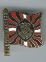 Bern Polizei Pin