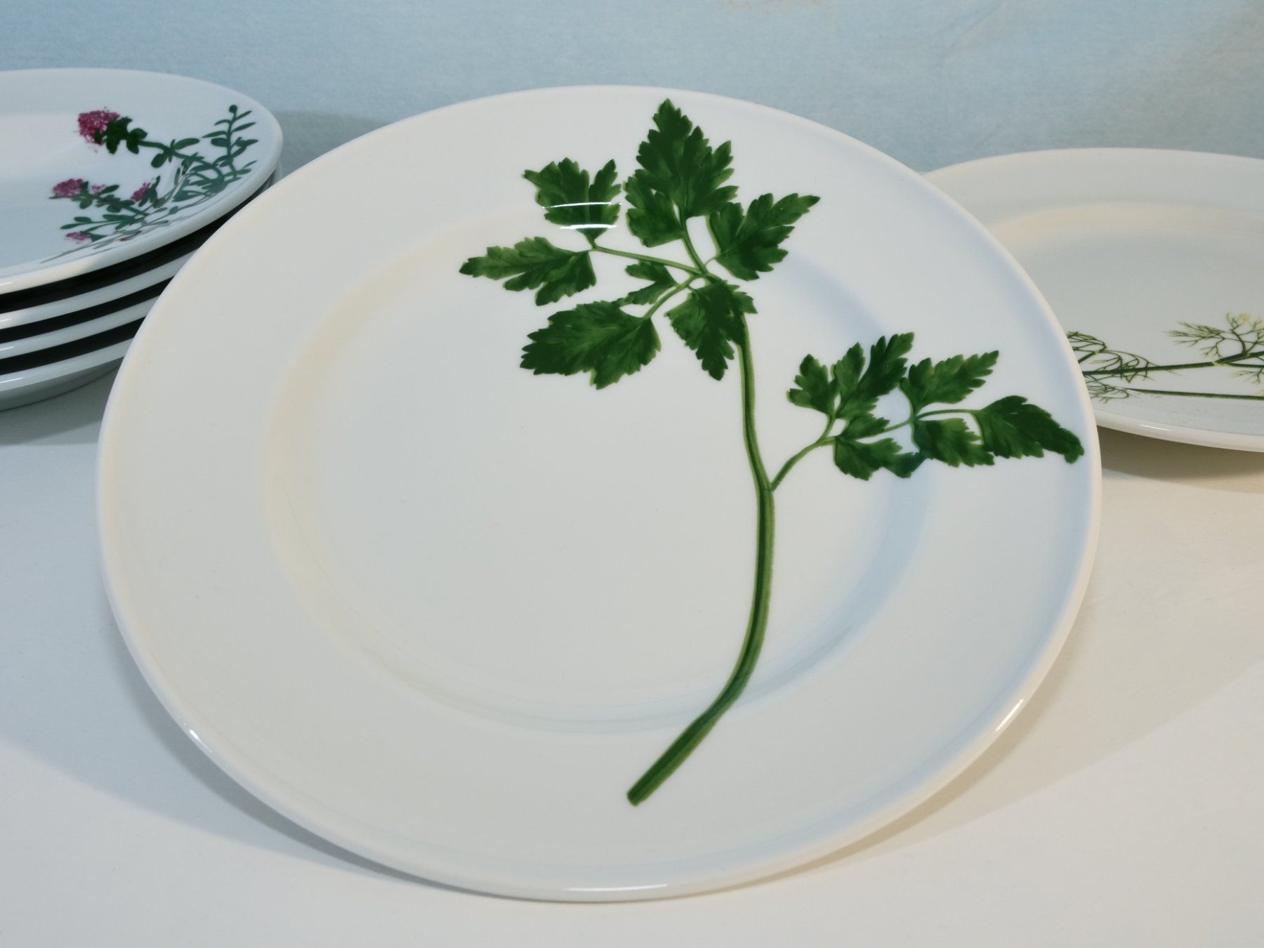 Dibbern Piatti: Dibbern Schösswald Teller Set, Kräuter Design, Top – Usato da Lustmühle venduto da Glatisant 1