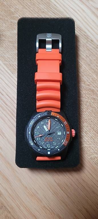 Montres: Luminox Bear Grylls – D'occasion à Ligornetto par hav_9tdh