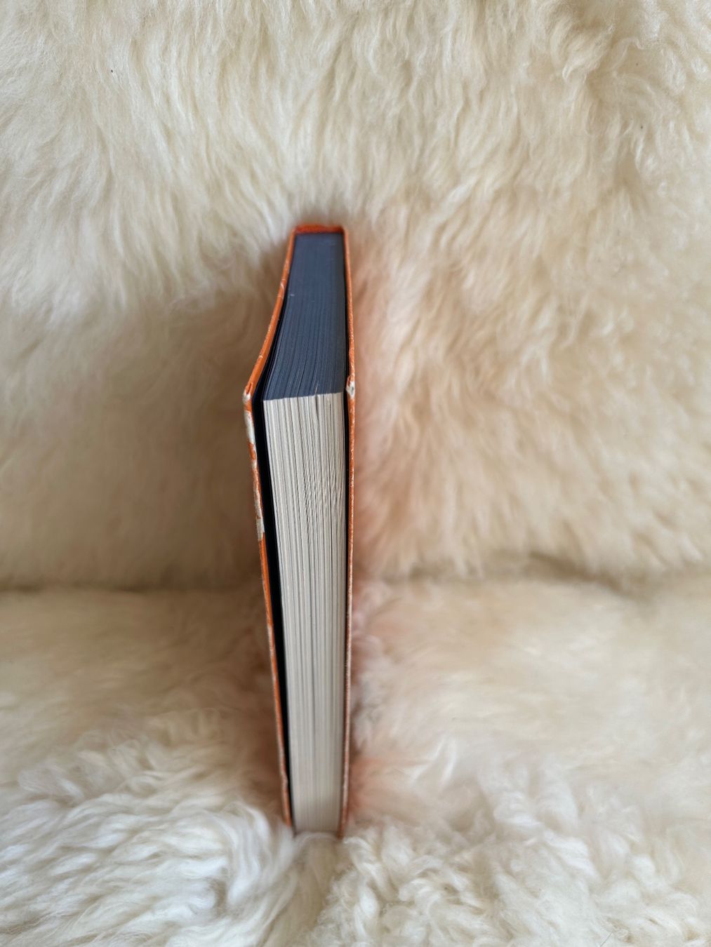 Libri: Verrufene Tiere - Stephan Wunsch – Usato da Roggwil BE venduto da Jessica085 4