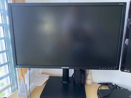 Monitor Samsung 24 Zoll S24E450
