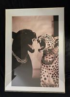 Panther & Leopard Bild 