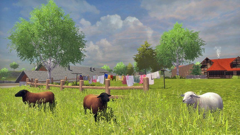 Nintendo Giochi: 😎Landwirtschafts Simulator 3D!  / 3DS – Usato da Schüpfheim venduto da Games_Spielkonsolen 3