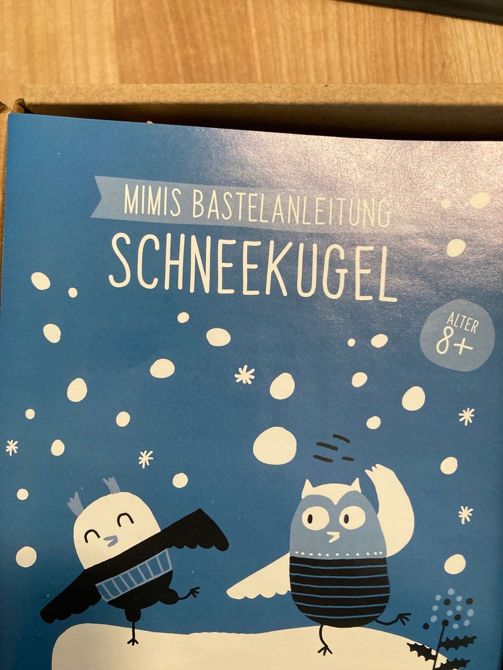 Bastelsets: Bastelset: Schneekugel – Gebraucht aus Basel von AufeinenBlick 1