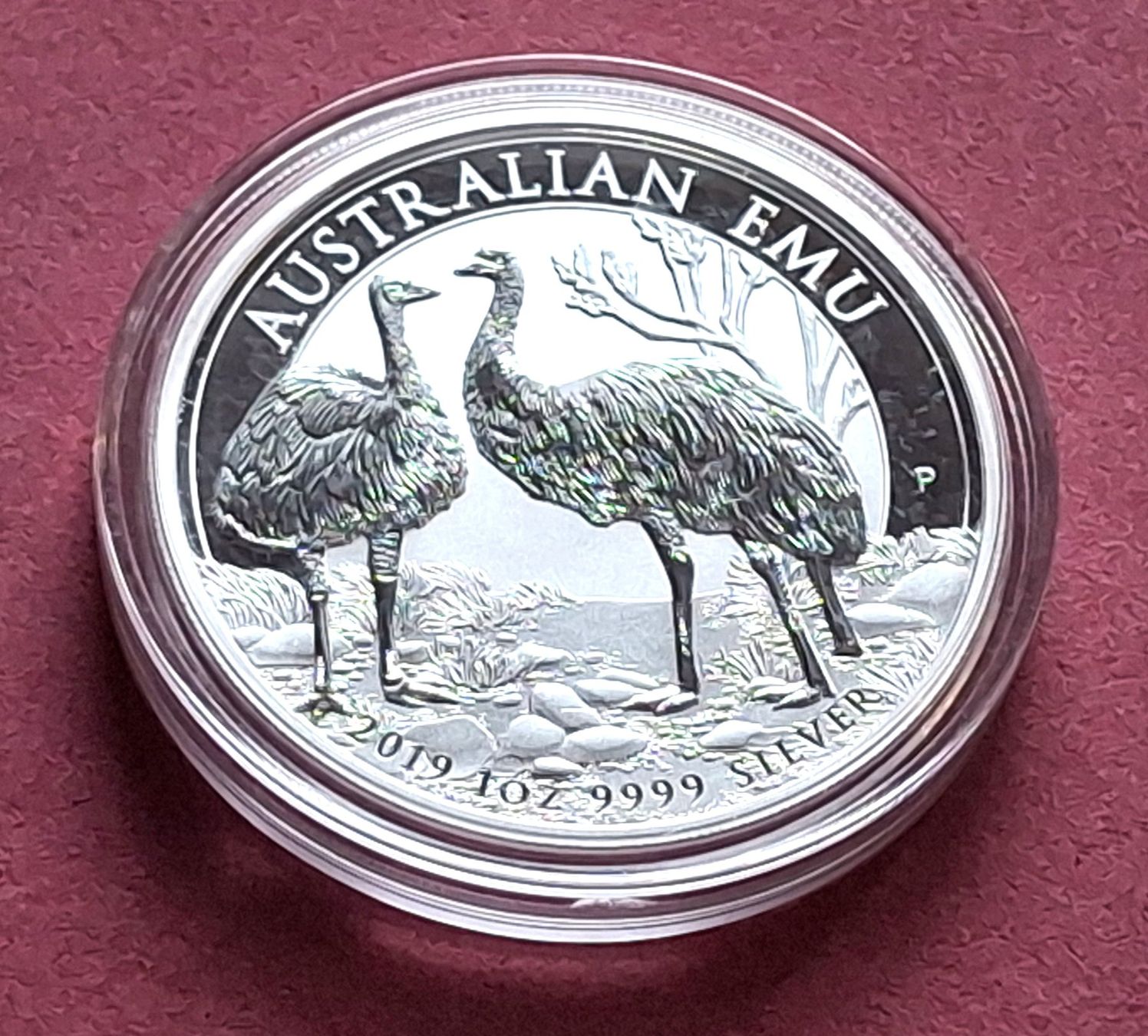 Tutti le monete: EMU 2019 - 1 OZ FEINSILBER - SELTENER – Usato da Boniswil venduto da dpd4coins