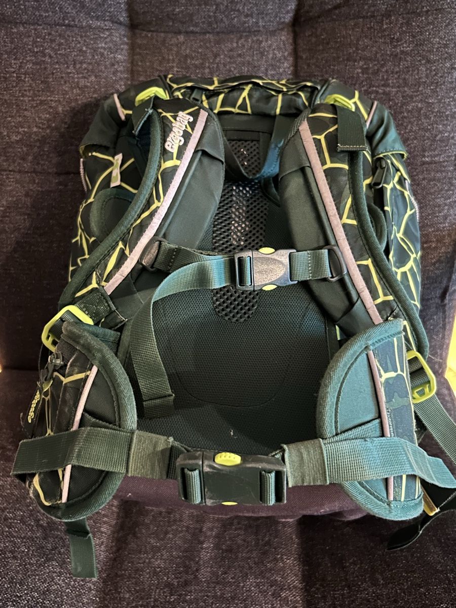 Ergobag Zaini: Ergobag Schul-Rucksack mit vielen Accessoires – Usato da Dietikon venduto da TdaC 2