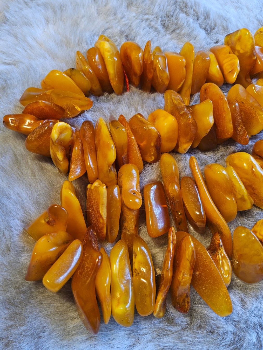 Catenine: Grosse dicke Bernstein Butterscotch Halskette Collier – Usato da Zürich venduto da SciTec 3