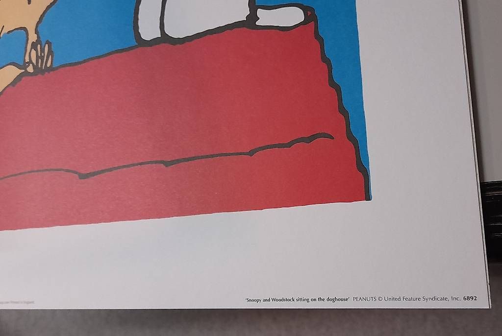 Posters & Illustrations: Snoopy Bild – D'occasion à Biel/Bienne par ros_8r9j 3