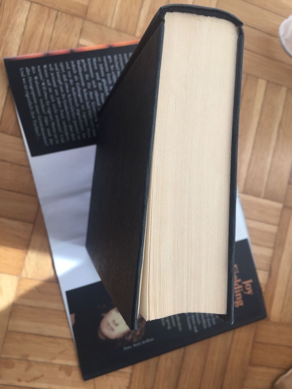 Bücher: Joy Fielding - Lauf, Jane, lauf – Gebraucht aus Emmenbrücke von Hathor123 3