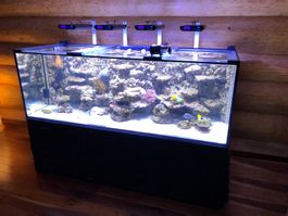 Top Design Meerwasseraquarium von SEA PLANET