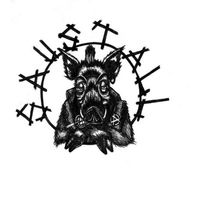 Saustall - !? Schallplatte Deutschpunk aus der Schweiz Mint