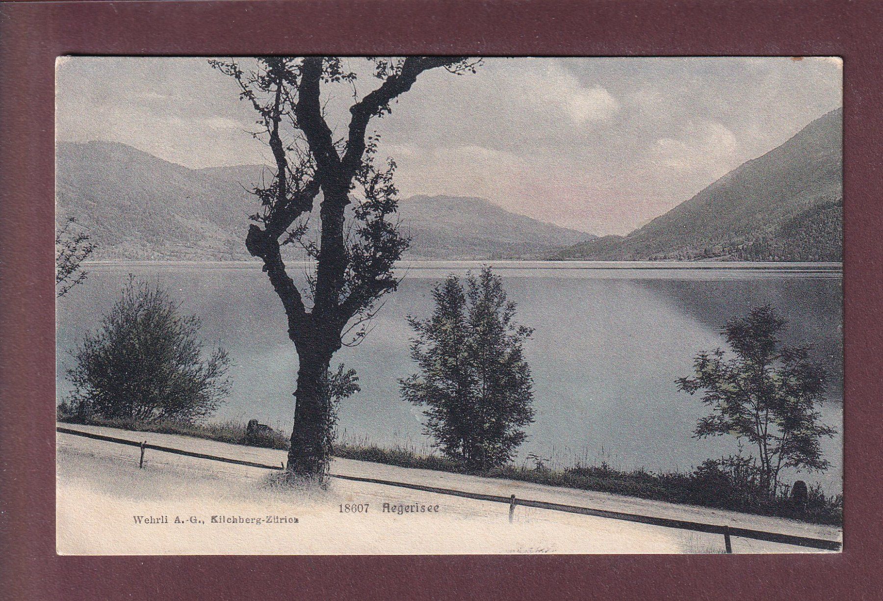 Ansichtskarten: AEGERISEE - 1907 – Gebraucht aus Pully von nicecards