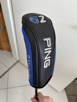 Ping Holz 3