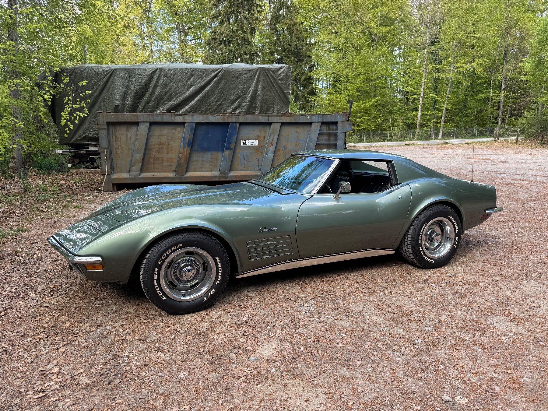 Chevrolet Automobili: Chevrolet Corvette C3 Targa – Usato da Münsingen venduto da Rop 1