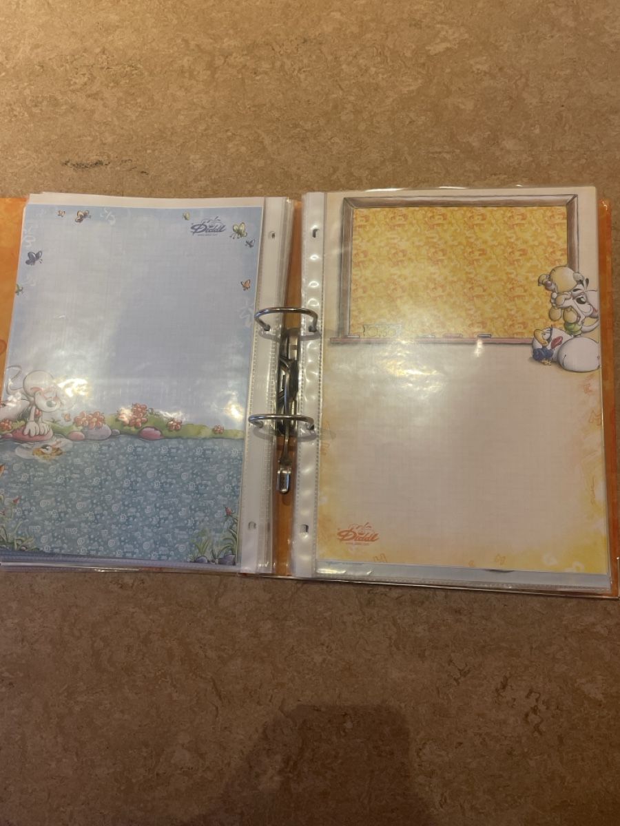 Fumetti: Diddl A4 + Briefpapier – Nuovo (secondo la descrizione) da Oberägeri venduto da cdoppi 2
