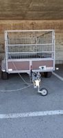Saris ZW1500 Anhänger mit Gitteraufsatz 1200 kg